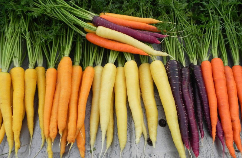 rainbow-carrots